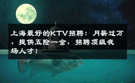 上海最好的KTV招聘：月薪过万，提供五险一金，招聘顶级夜场人才！