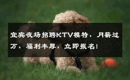 宜宾夜场招聘KTV模特，月薪过万，福利丰厚，立即报名！