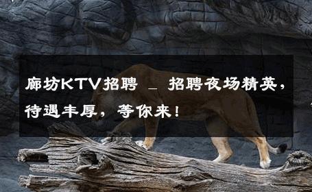 廊坊KTV招聘 _ 招聘夜场精英，待遇丰厚，等你来！