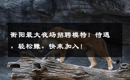 衡阳最大夜场招聘模特！待遇，轻松赚，快来加入！