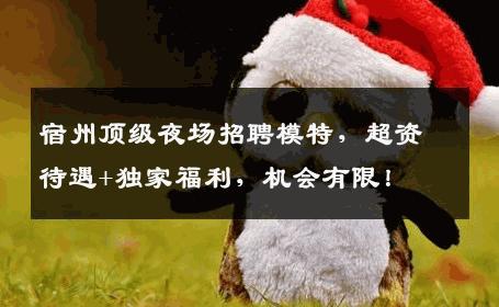 宿州顶级夜场招聘模特，超资待遇+独家福利，机会有限！