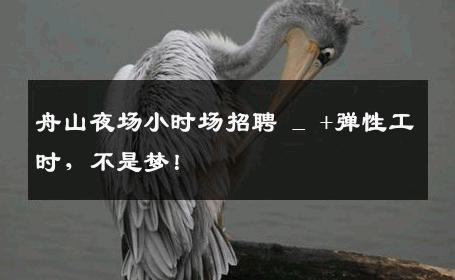 舟山夜场小时场招聘 _ +弹性工时，不是梦！