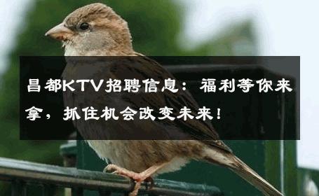 昌都KTV招聘信息：福利等你来拿，抓住机会改变未来！