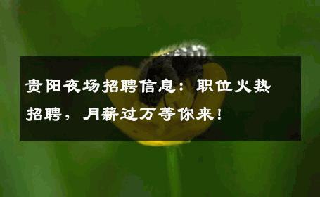 贵阳夜场招聘信息：职位火热招聘，月薪过万等你来！