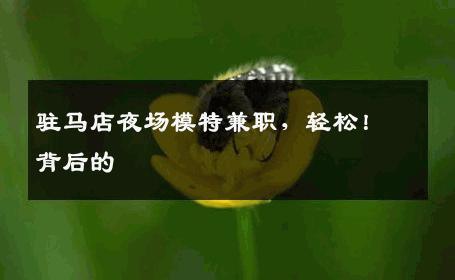 驻马店夜场模特兼职，轻松！背后的