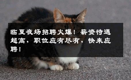 临夏夜场招聘火爆！薪资待遇超高，职位应有尽有，快来应聘！
