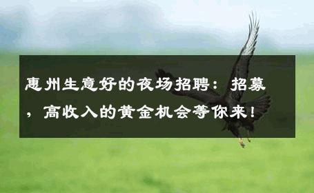 惠州生意好的夜场招聘：招募，高收入的黄金机会等你来！