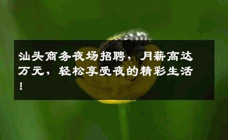 汕头商务夜场招聘，月薪高达万元，轻松享受夜的精彩生活！