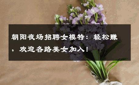 朝阳夜场招聘女模特：轻松赚，欢迎各路美女加入！