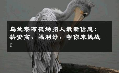 乌兰察布夜场招人最新信息：薪资高，福利好，等你来挑战！