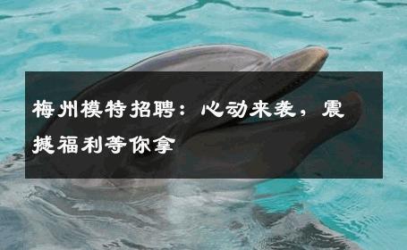 梅州模特招聘：心动来袭，震撼福利等你拿