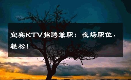 宜宾KTV招聘兼职：夜场职位，轻松！