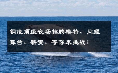 铜陵顶级夜场招聘模特，闪耀舞台，薪资，等你来挑战！