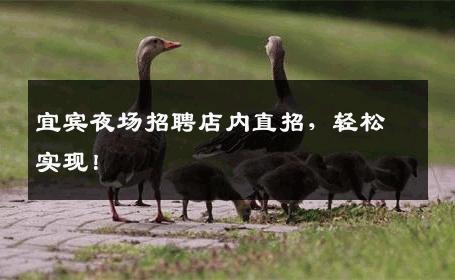 宜宾夜场招聘店内直招，轻松实现！