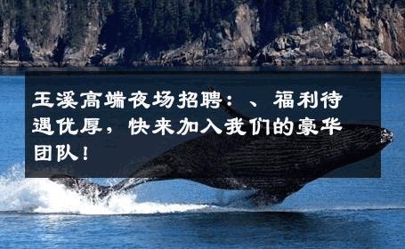 玉溪高端夜场招聘：、福利待遇优厚，快来加入我们的豪华团队！