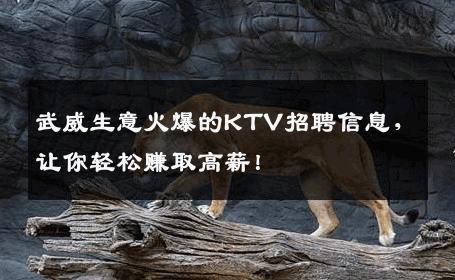 武威生意火爆的KTV招聘信息，让你轻松赚取高薪！