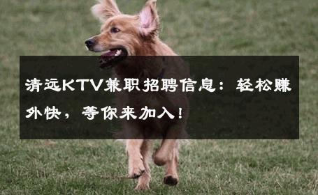 清远KTV兼职招聘信息：轻松赚外快，等你来加入！