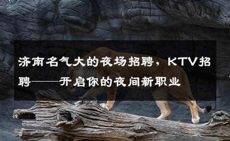 济南名气大的夜场招聘，KTV招聘——开启你的夜间新职业