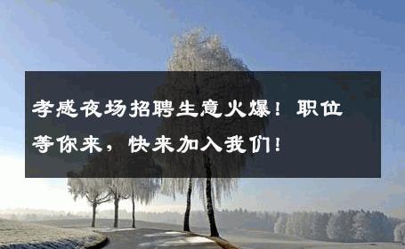 孝感夜场招聘生意火爆！职位等你来，快来加入我们！