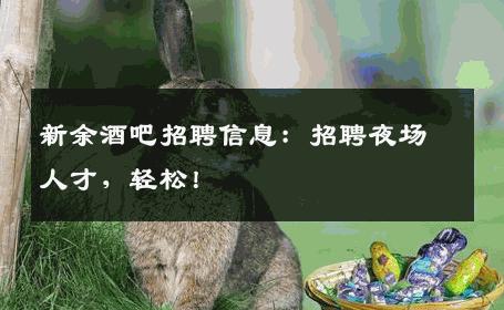 新余酒吧招聘信息：招聘夜场人才，轻松！