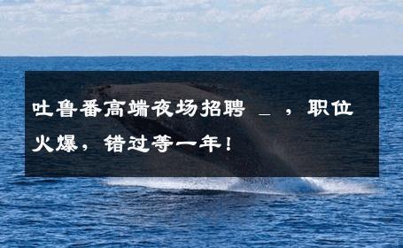 吐鲁番高端夜场招聘 _ ，职位火爆，错过等一年！