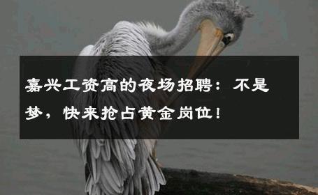 嘉兴工资高的夜场招聘：不是梦，快来抢占黄金岗位！