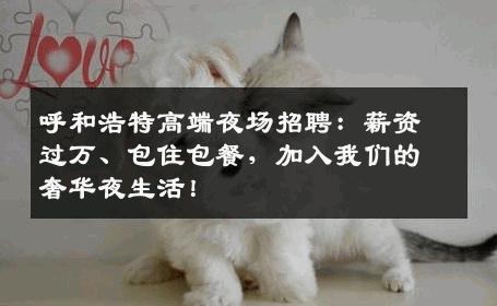 呼和浩特高端夜场招聘：薪资过万、包住包餐，加入我们的奢华夜生活！