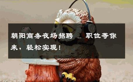 朝阳商务夜场招聘 _ 职位等你来，轻松实现！