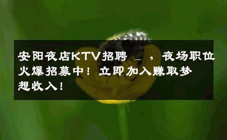 安阳夜店KTV招聘 _ ，夜场职位火爆招募中！立即加入赚取梦想收入！