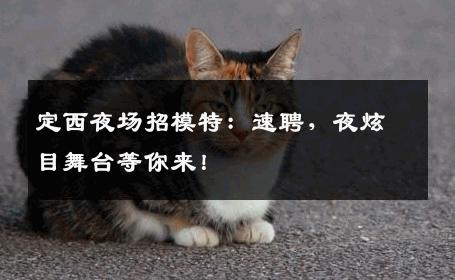 定西夜场招模特：速聘，夜炫目舞台等你来！