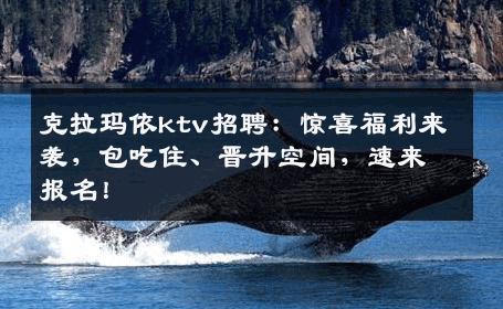 克拉玛依ktv招聘：惊喜福利来袭，包吃住、晋升空间，速来报名！