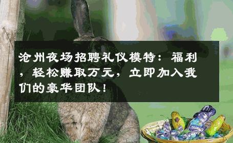 沧州夜场招聘礼仪模特：福利，轻松赚取万元，立即加入我们的豪华团队！