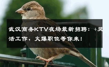 武汉商务KTV夜场最新招聘：+灵活工作，火爆职位等你来！