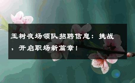 玉树夜场领队招聘信息：挑战，开启职场新篇章！