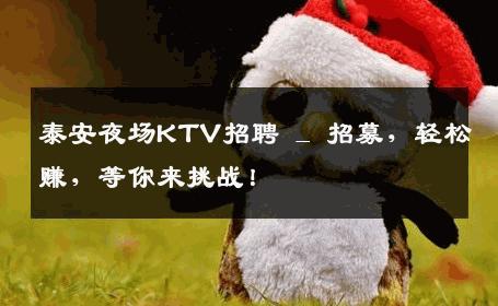 泰安夜场KTV招聘 _ 招募，轻松赚，等你来挑战！