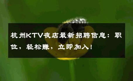 杭州KTV夜店最新招聘信息：职位，轻松赚，立即加入！