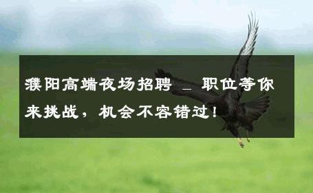 濮阳高端夜场招聘 _ 职位等你来挑战，机会不容错过！