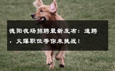 德阳夜场招聘最新发布：速聘，火爆职位等你来挑战！