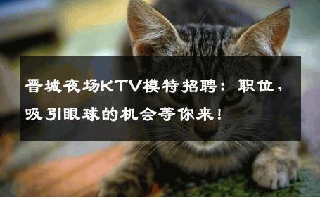 晋城夜场KTV模特招聘：职位，吸引眼球的机会等你来！