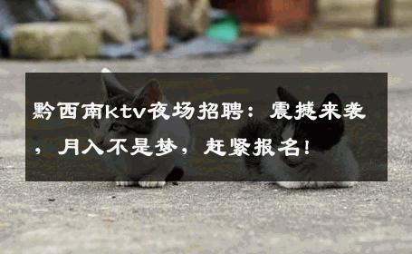 黔西南ktv夜场招聘：震撼来袭，月入不是梦，赶紧报名！