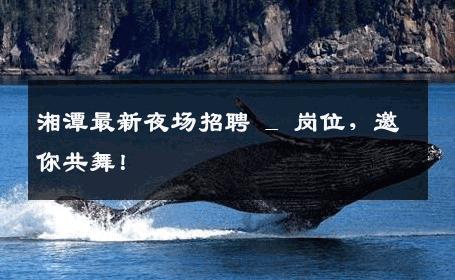 湘潭最新夜场招聘 _ 岗位，邀你共舞！