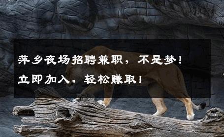 萍乡夜场招聘兼职，不是梦！立即加入，轻松赚取！