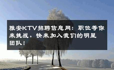 雅安KTV招聘信息网：职位等你来挑战，快来加入我们的明星团队！