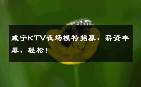咸宁KTV夜场模特招募，薪资丰厚，轻松！
