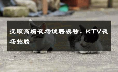 抚顺高端夜场诚聘模特，KTV夜场招聘