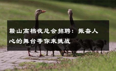 鞍山高档夜总会招聘：振奋人心的舞台等你来挑战