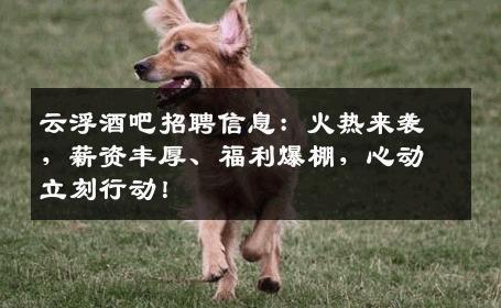 云浮酒吧招聘信息：火热来袭，薪资丰厚、福利爆棚，心动立刻行动！
