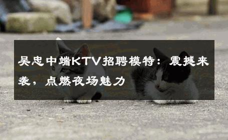 吴忠中端KTV招聘模特：震撼来袭，点燃夜场魅力