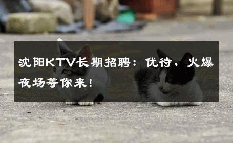 沈阳KTV长期招聘：优待，火爆夜场等你来！