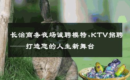 长治商务夜场诚聘模特,KTV招聘——打造您的人生新舞台